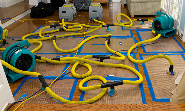 Professional Water Damage Restoration technician working in Hollywood, SC